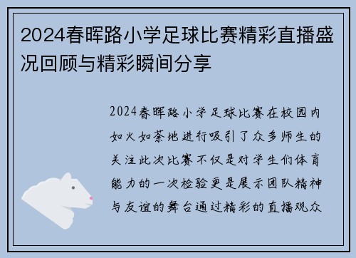 2024春晖路小学足球比赛精彩直播盛况回顾与精彩瞬间分享